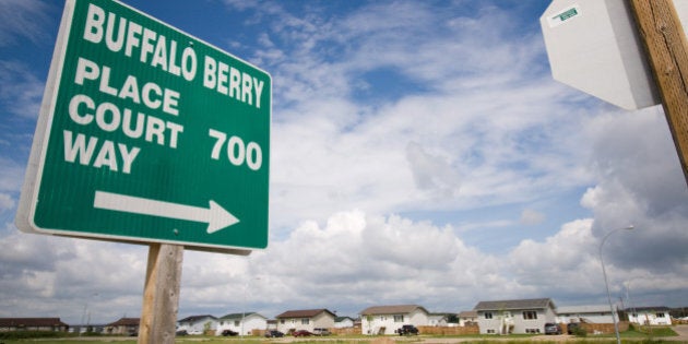 I hope a buffalo berry isn't what I think it is (if so, ewwww). The Whitecap Dakota First Nation, just south of Saskatoon.