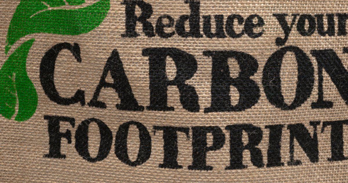 What Are Carbon Credits And How Do They Work<br><br>
