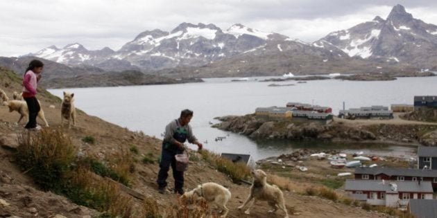 Gert Ignatiussen throws a chunk of seal meat to one of his sled dogs in Tasiilaq, an Inuit town on the southeast coast of Greenland, in this photograph taken on Aug. 25, 2009. Ignatiussen was the winner of Greenland's annual amateur mineral hunt, a competition that the local government hopes will spur Greenlanders to take interest in the hidden resources being uncovered by the Arctic thaw. ( AP Photo/Karl Ritter).