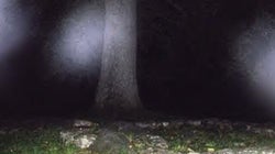 Niagara's (Very, Very) Haunted