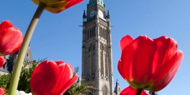 Tulips bloom on the front lawn of Parliament Hill in Ottawa, Ontario on Monday, April 26, 2010. (AP Photo/The Canadian Press, Adrian Wyld)