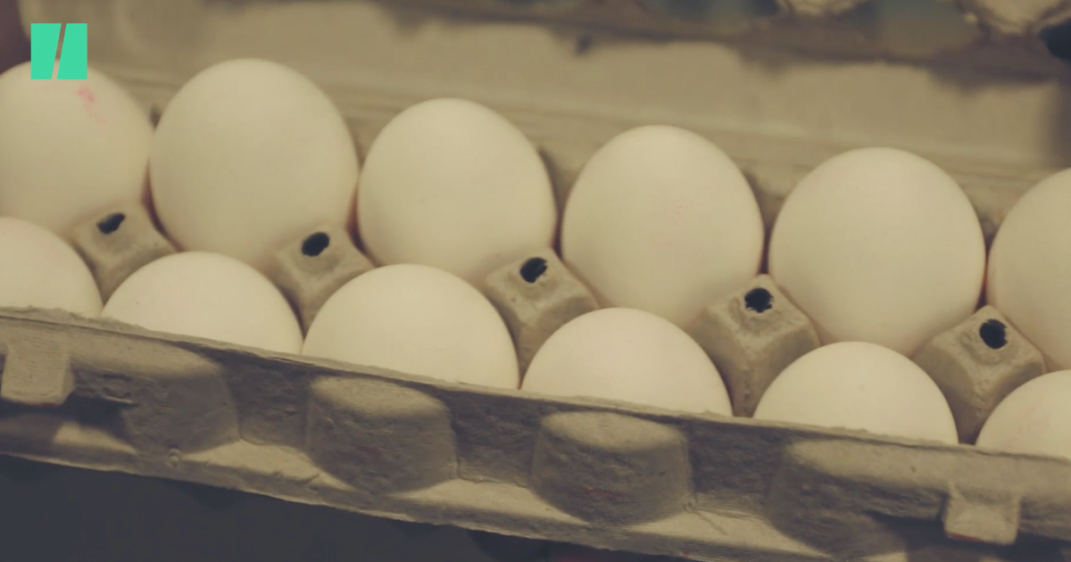 No Canadian Invention Is More Eggcellent Than The Egg Carton