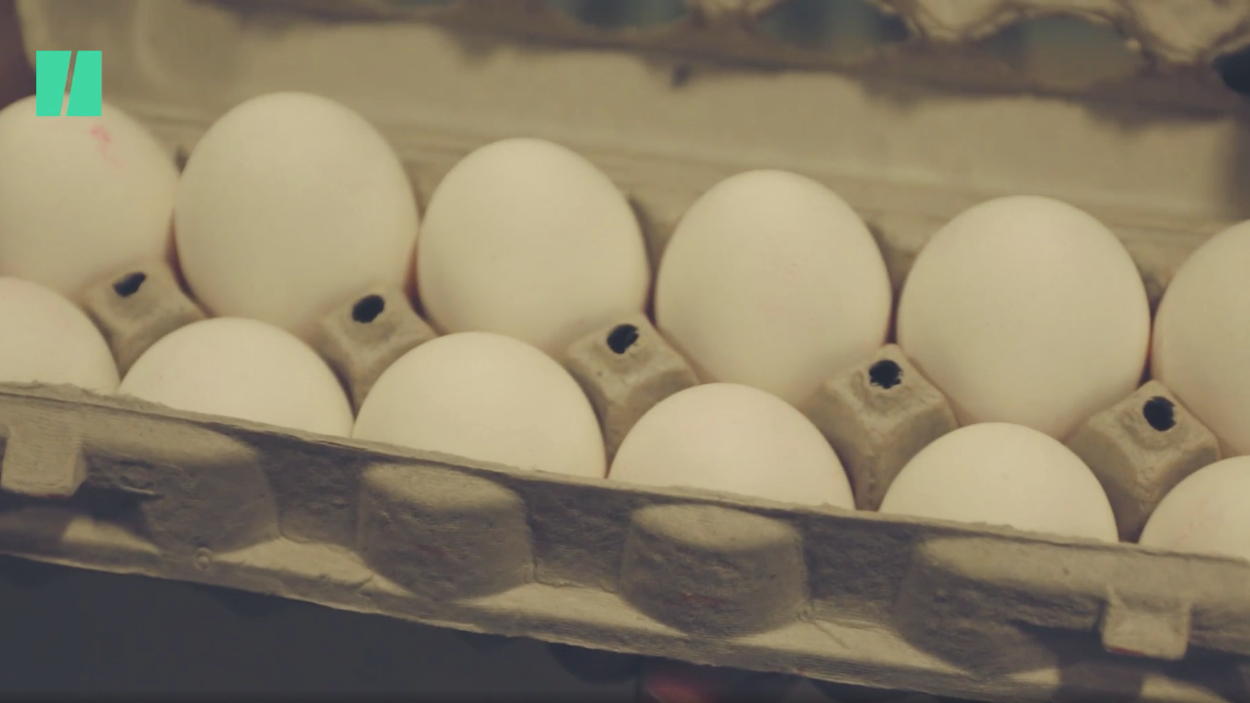 No Canadian Invention Is More Eggcellent Than The Egg Carton