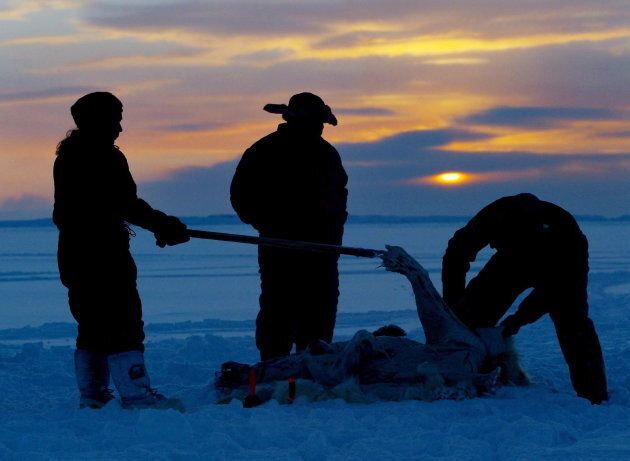 Inuit hunters, left to right, Meeka Mike, Lew Philip and Joshua Kango skin a polar bear on the ice as the sun sets during the traditional hunt on Frobisher Bay near Tonglait, Nunavut on Feb. 2, 2003.