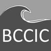 BC Council for International Cooperation - BCCIC is a coalition of international development and civil society organizations engaged in sustainable development and social justice.