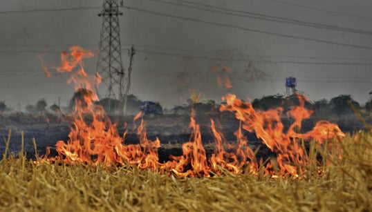 Apparently Stubble Burning Can’t Be Stopped In Punjab, Haryana Because Of