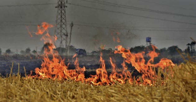 Apparently Stubble Burning Can't Be Stopped In Punjab, Haryana Because Of