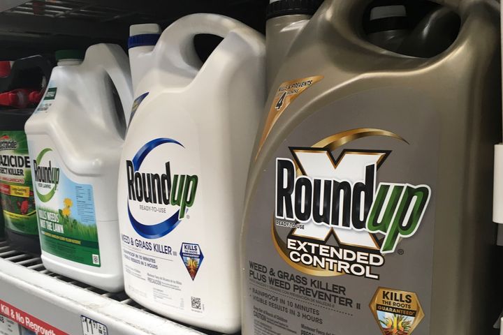 A jury determined that Roundup Ready caused the non-Hodgkin’s lymphoma that Alva and Albert Pilliod both contracted