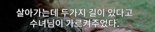해당 사용자가 DVD프라임에 제보한 자막.