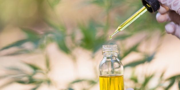 Cannabidiol, which is usually extracted and diluted with a carrier oil, has been increasingly used for...