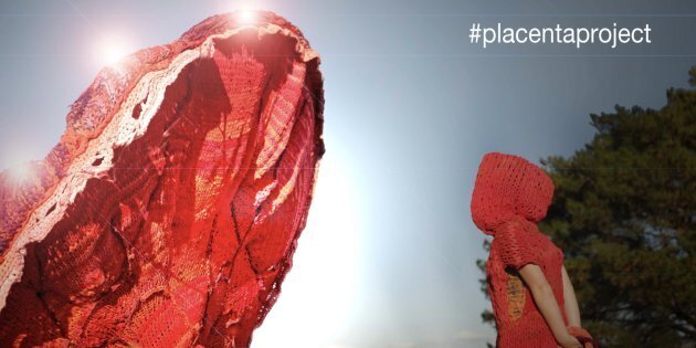 placenta plush