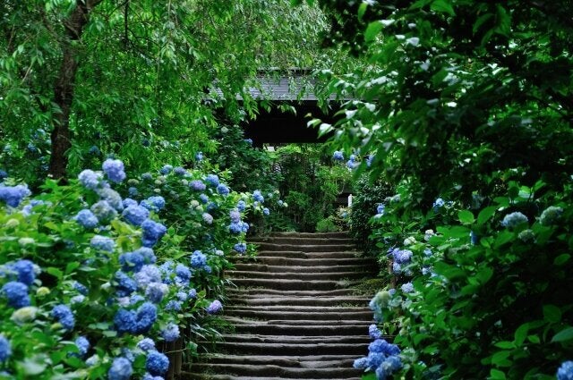 明月院