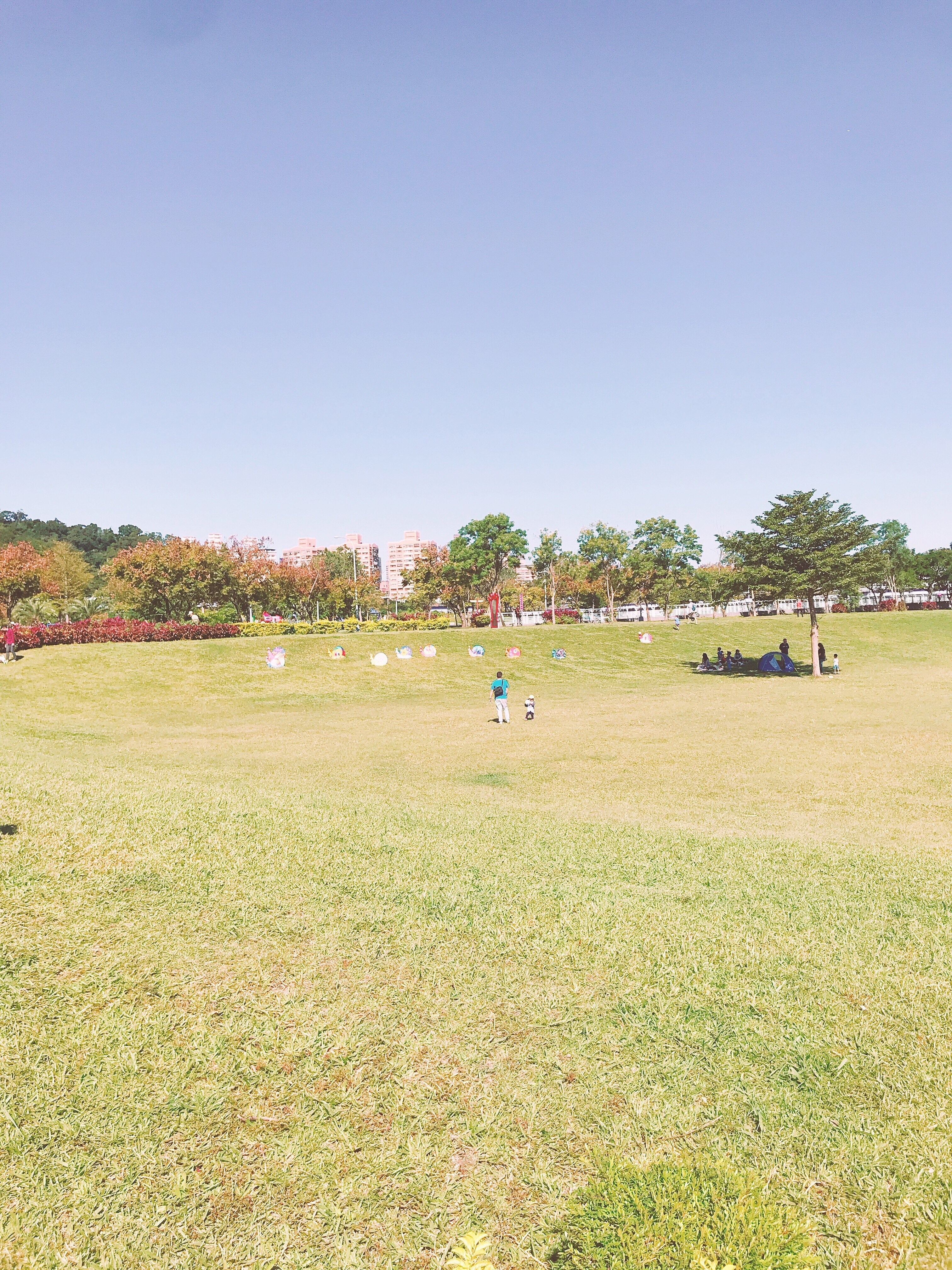 ▲陽光運動公園擁有大片綠地,不管是野餐或玩耍都相當愜意。