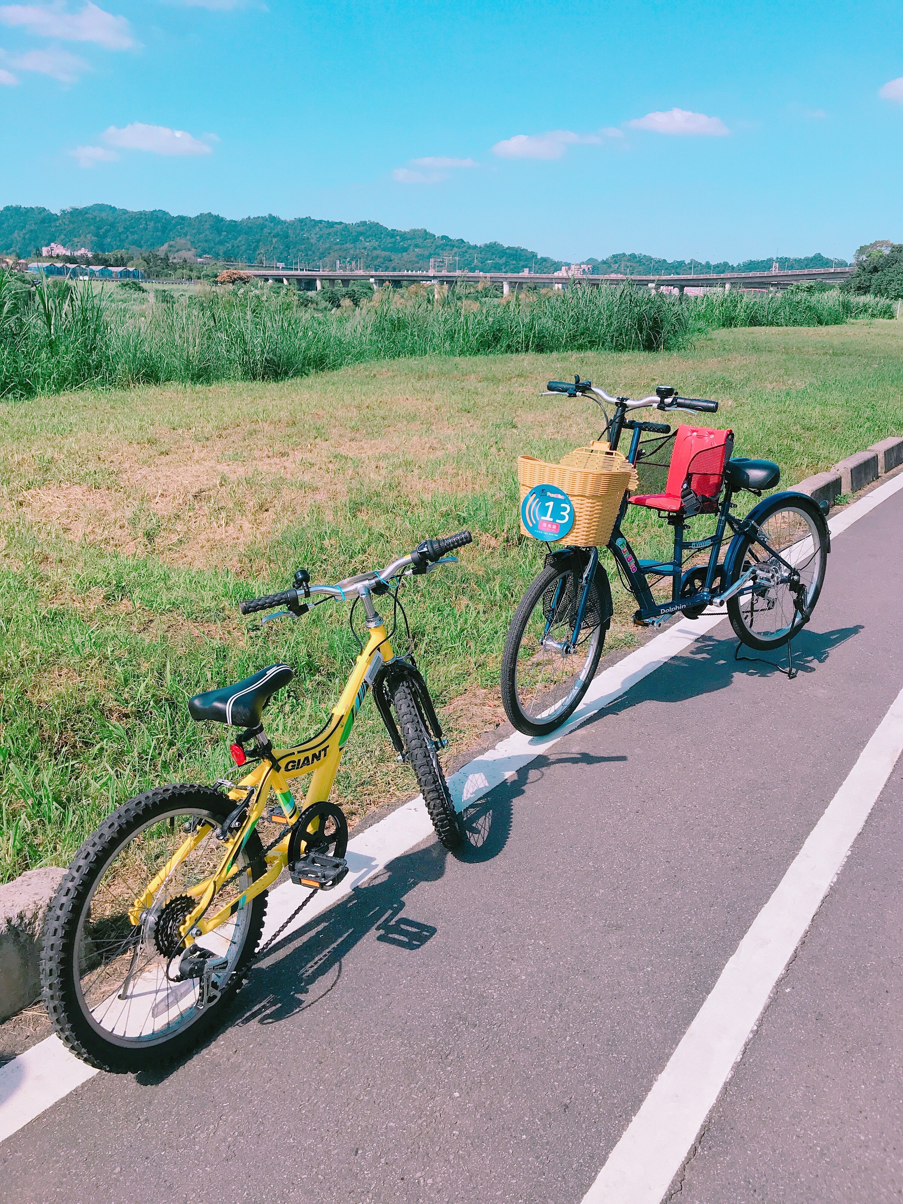 ▲現場也有租借腳踏車,可以一路騎至碧潭風景區、烏來,可以甲地借乙地還。