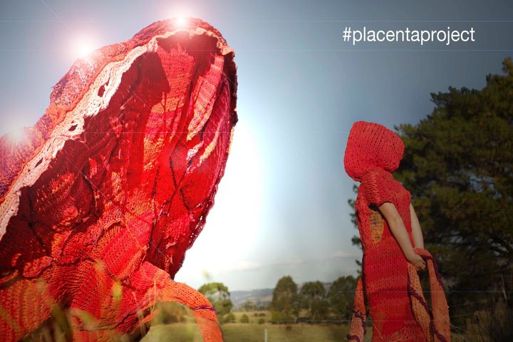 Le #placentaproject a été mis sur pied par l'artiste communautaire australienne Bec Vandyk.