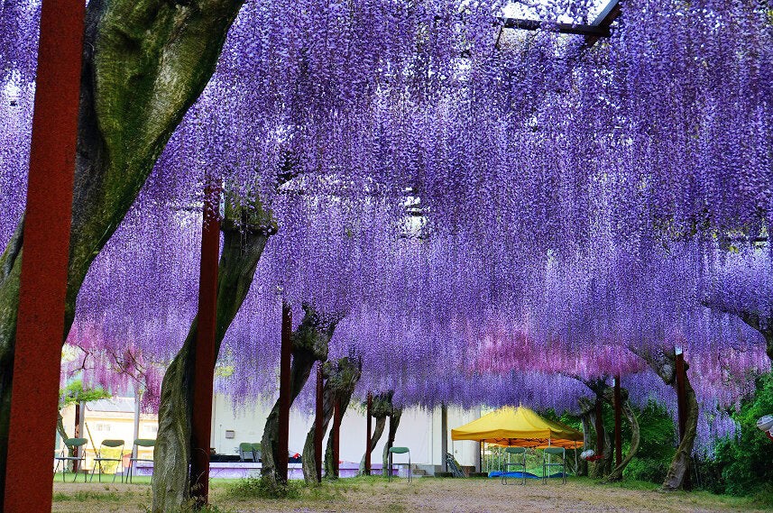 和氣神社
