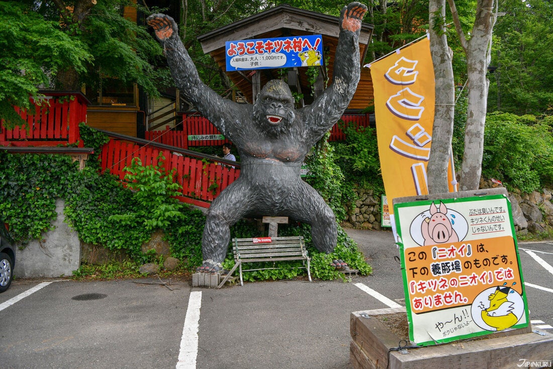 歡迎光臨藏王狐狸村!