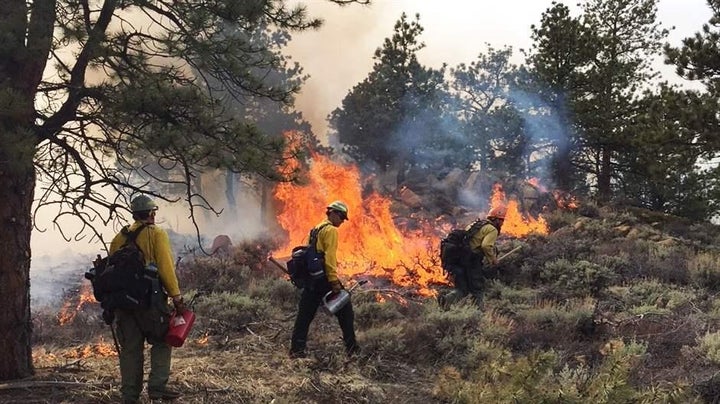 Firefighters from the U.S. Forest Service and from Larimer County, Colorado, manage a section of the 2018 Pingree Hill prescr