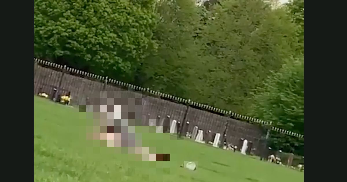 Police Hunt Man And Woman After Video Of Public Sex Act Goes Viral Huffpost Uk News 7086