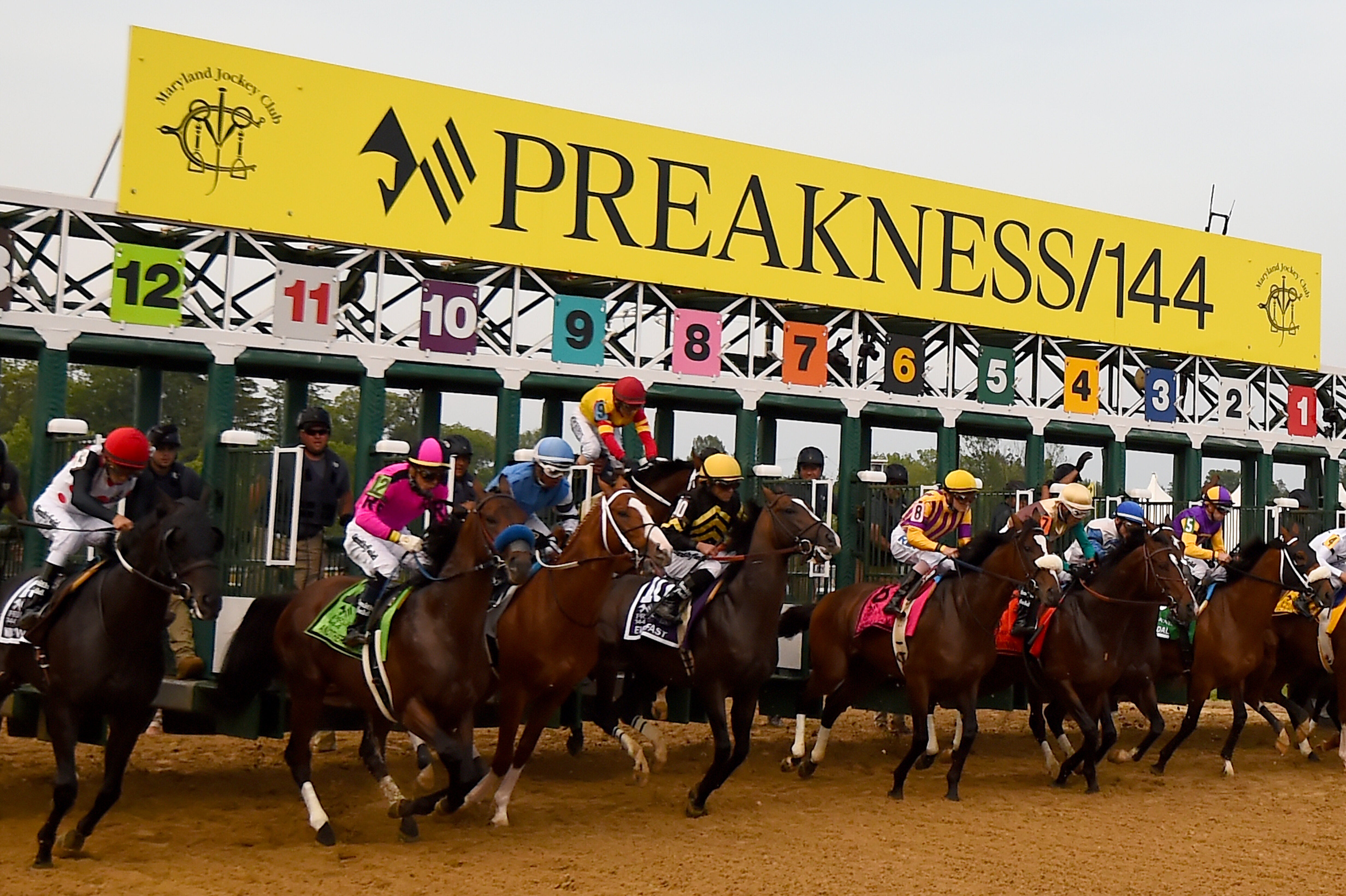 After shaking the jockey John Velazquez right out of the grid, Bodexpress finished the Preakness Stakes Saturday solo.