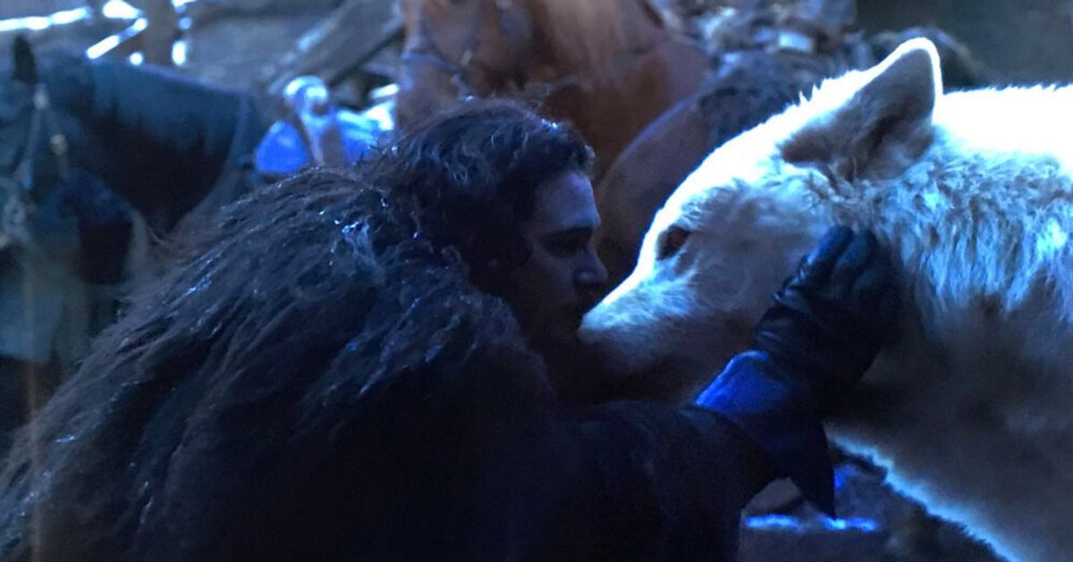 Jon Snow Finally Pet Ghost On Game Of Thrones Season 8
