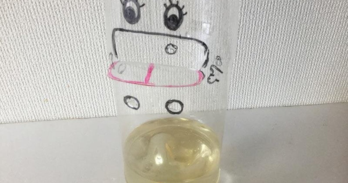 殺虫剤よりも効果絶大 ペットボトルと調味料だけで作れる ハエトラップ とは ハフポスト Life 殺虫剤よりも効果絶大 ペットボトルと調味料だけで作れる ハエトラップ とは ハフポスト Life