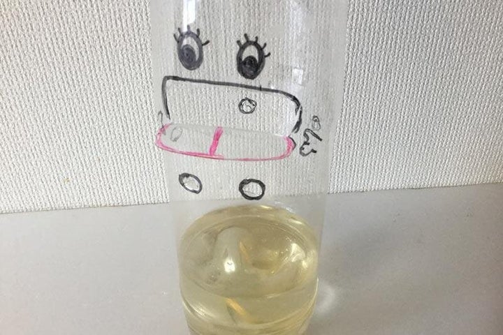 殺虫剤よりも効果絶大 ペットボトルと調味料だけで作れる ハエトラップ とは ハフポスト Life 殺虫剤よりも効果絶大 ペットボトルと調味料だけで作れる ハエトラップ とは ハフポスト Life