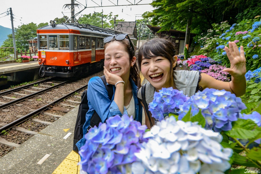 紫陽花名所