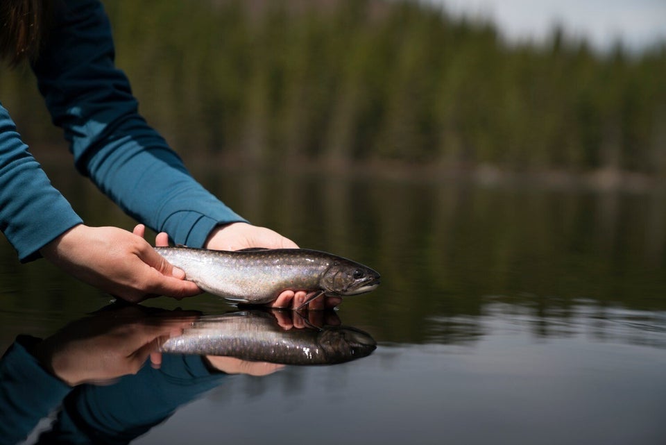 7 idées cadeaux pour la fête des pères - Peche et Poissons