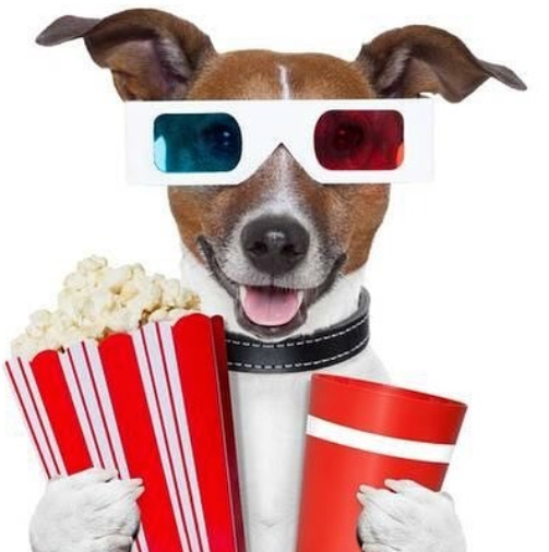 犬と一緒に行ける映画館が話題 しかも15ドルでワインも飲み放題 ハフポスト Life