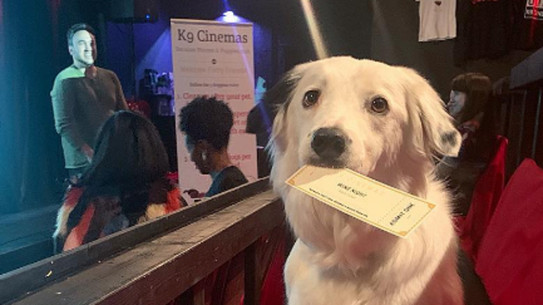 犬と一緒に行ける映画館が話題 しかも15ドルでワインも飲み放題 ハフポスト Life 犬と一緒に行ける映画館が話題 しかも15ドルでワインも飲み放題 ハフポスト Life