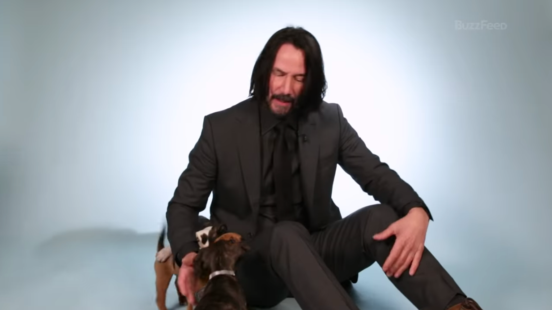 Keanu Reeves Playing With Puppies Is Our Obsession | HuffPost Entertainment