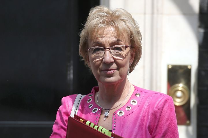 Andrea Leadsom is one of a number of Brexit-supporting colleagues in the so-called Pizza Club, and is likely to launch a leadership bid.