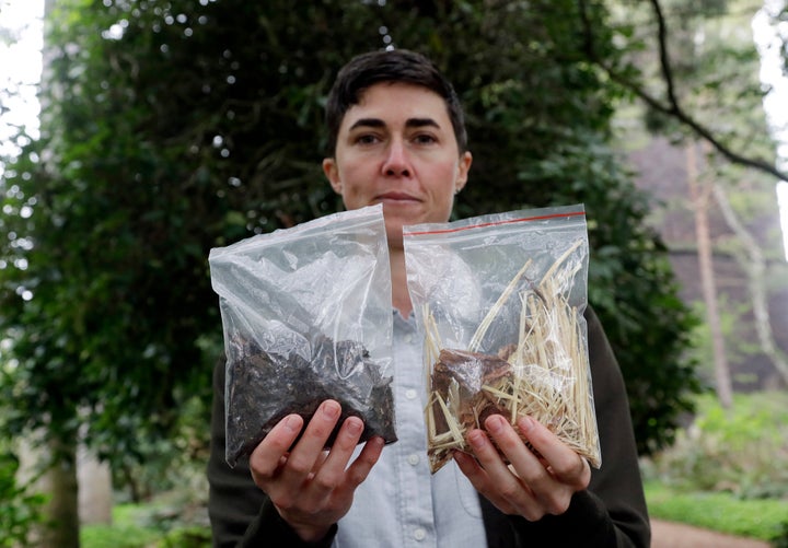 Spade displays a sample of the compost material from the decomposition of a cow (left) and some of the combination of wood chips, alfalfa and straw used in the process (right).