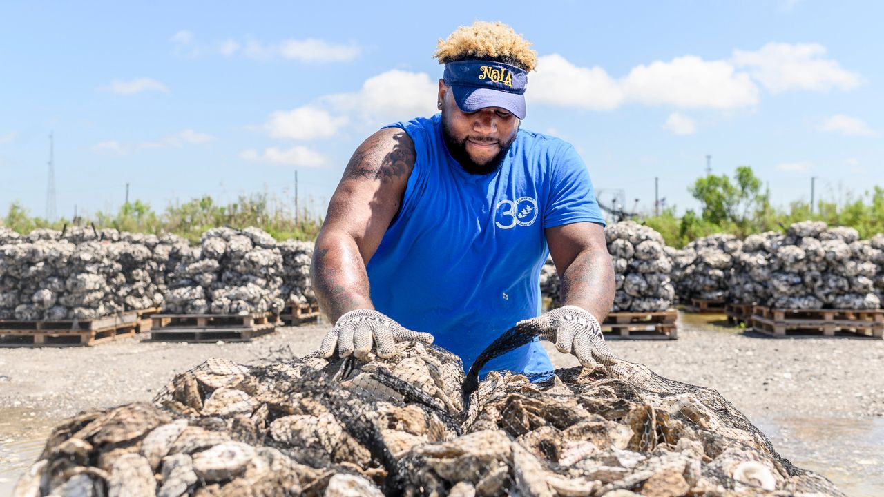 Demonte Sawyer sets collected bags of oyster shells onto pallets, which they'll use to put them into the water at the Coalition to Restore Coastal Louisiana oyster shell collection center in Buras, Louisiana., on May 21, 2019.