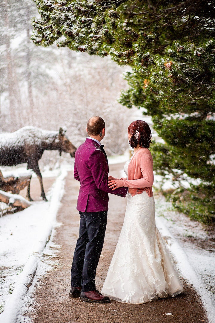 The moose was about 15 feet away from the couple on the walking trail.