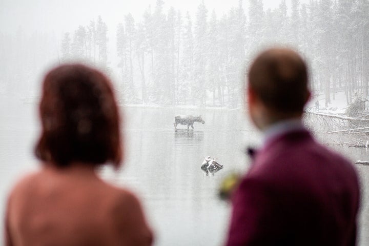 The bride and groom were mesmerized by the beautiful creature. 