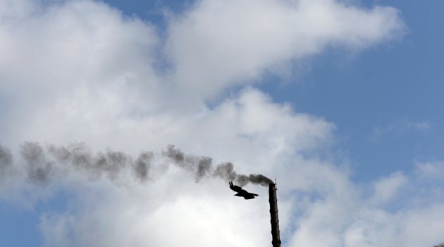 What Modi And BJP's Return Means For Environmental Laws In