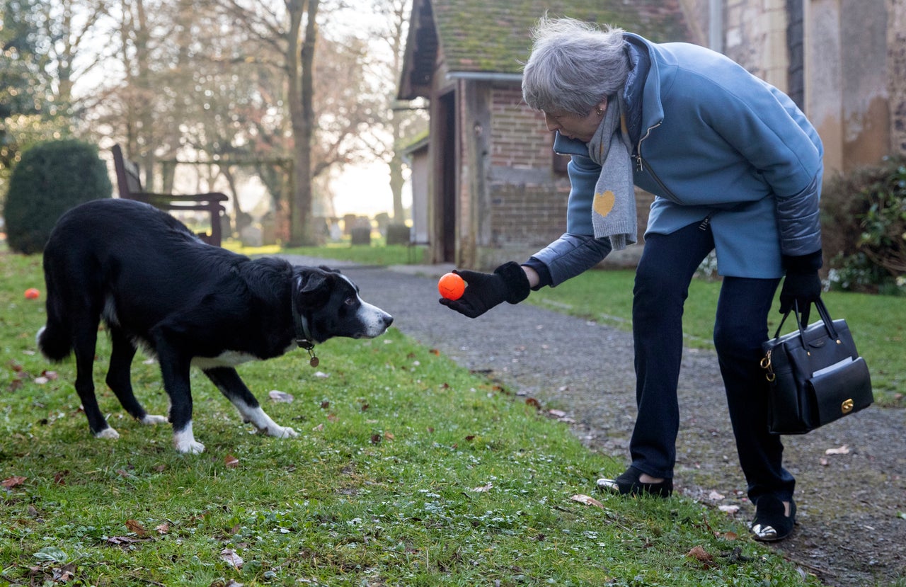 May with border collie Blitz