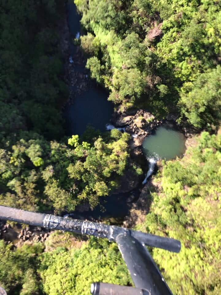 Makawao Forest Reserve where Amanda Eller was found alive Friday.