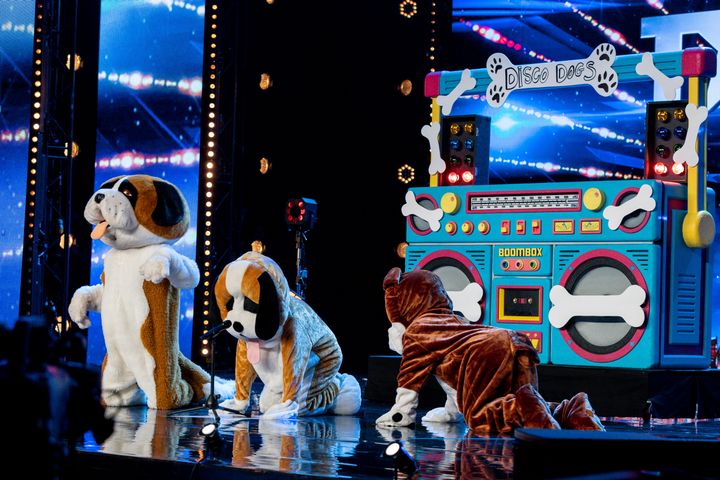 The Disco Dogs in action