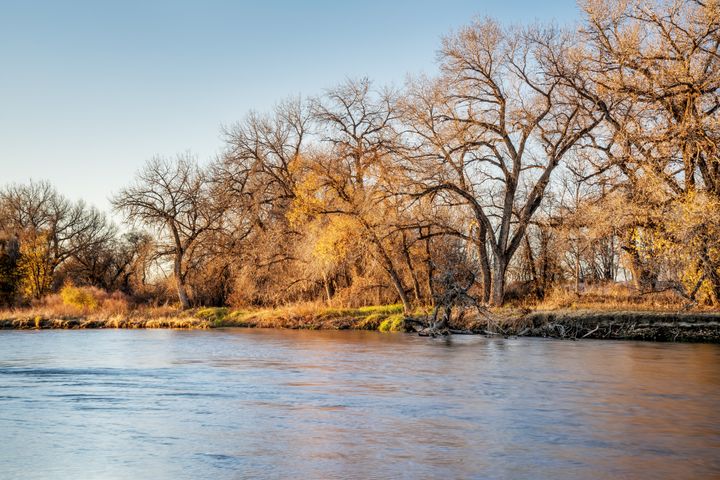 Scene from the South Platte River.