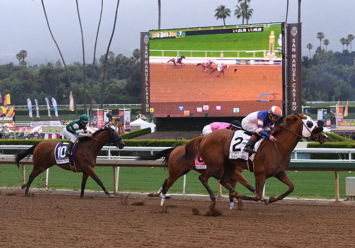 Horses race at the Santa Anita Racetrack on May 26 as controversy continues over the high number of horse deaths at the track in Arcadia, California.