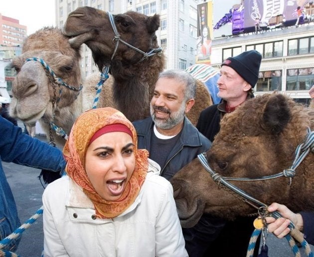 "Little Mosque on the Prairie" creator Zarqa Nawaz, actor Manoj Sood and actor Boyd Banks ham it up with camels during a promotion for the CBC television show in downtown Toronto on Jan. 4, 2007.