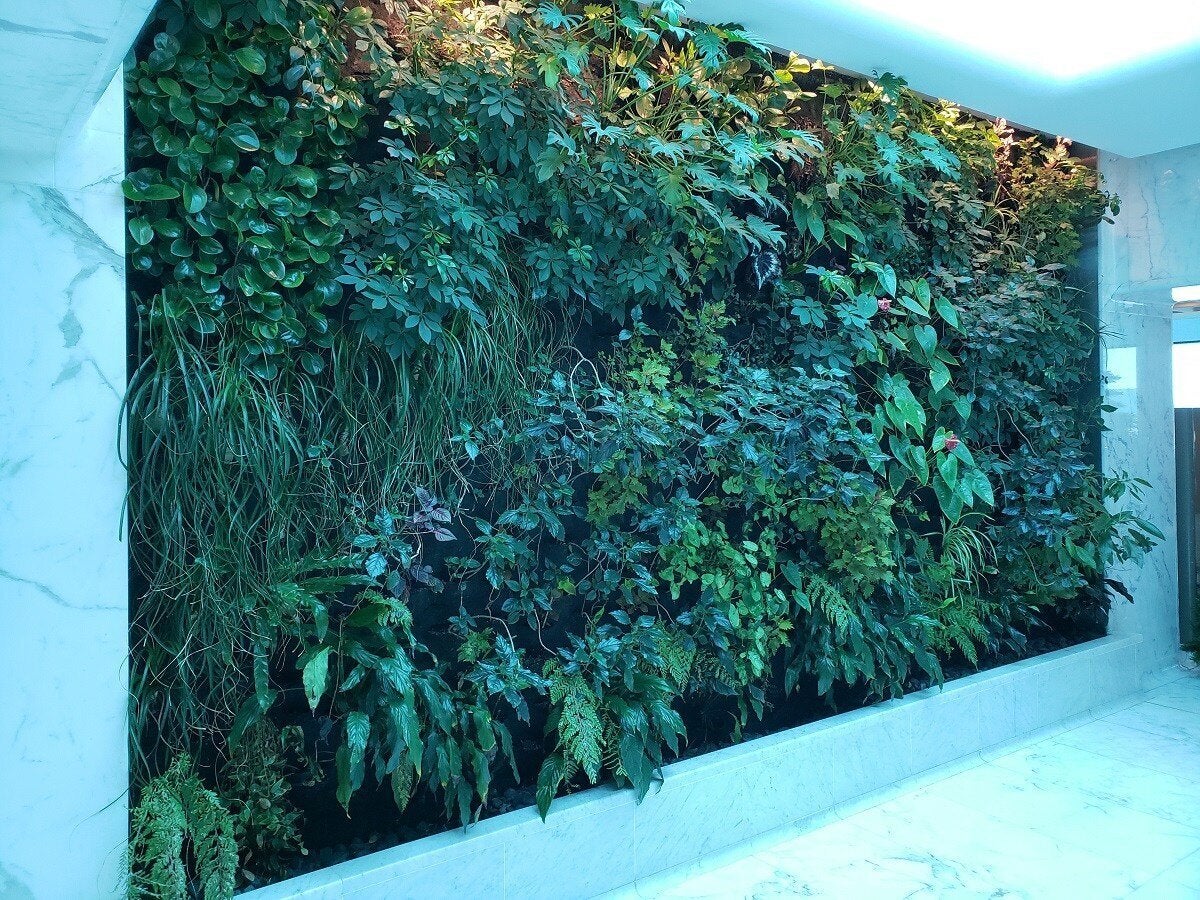 櫃台的對面有樹葉牆,給我一種很像美國運通百夫長貴賓室 (AMEX Centurion Lounge) 的感覺