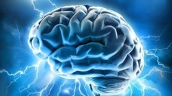 Comment agir sur ses cellules pour rester en