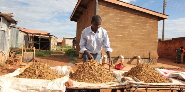 A young man sells tobacco at the market in Mwinilunga, Zambia on Dec. 7, 2012.