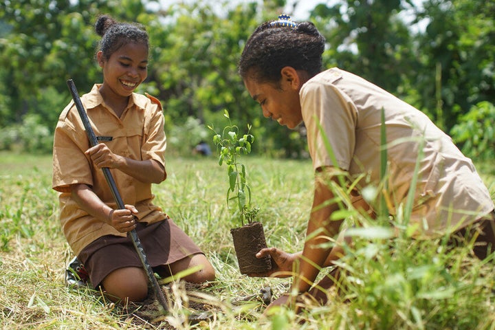 Girls plant tree saplings at school in Indonesia.