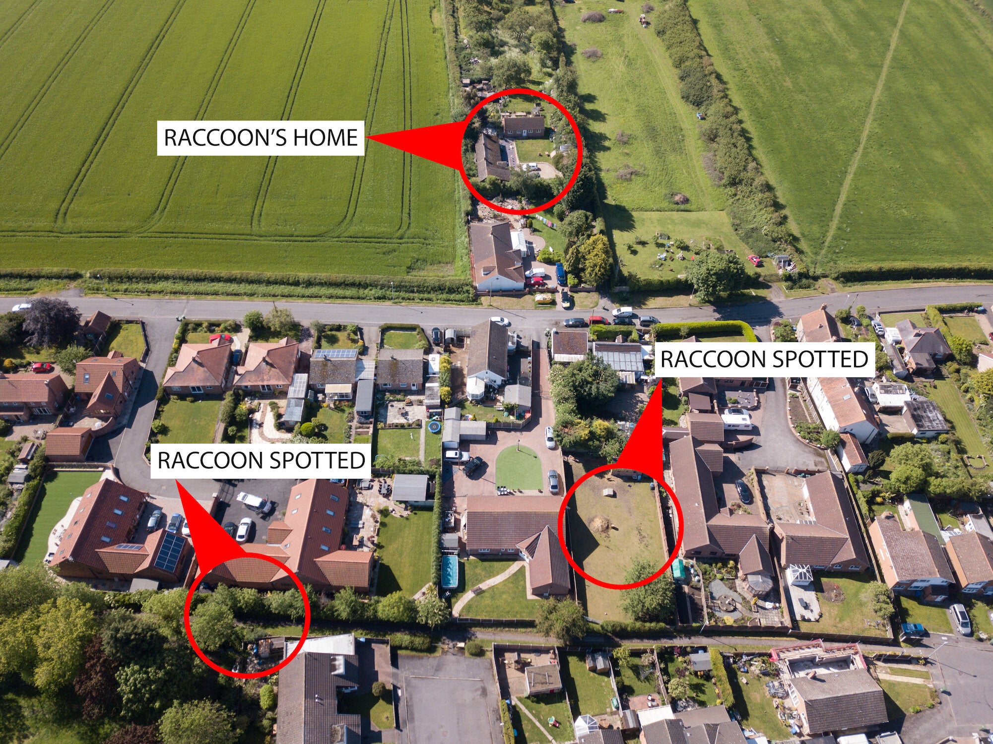 A map showing where the dogs attacked and where they escaped from. (SWNS)