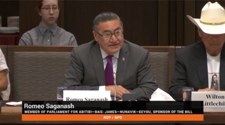 NDP MP Romeo Saganash speaks about Bill C-262 at a Senate standing committee on Aboriginal peoples meeting on May 28, 2019.